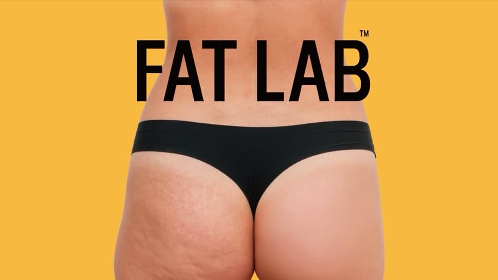 FAT LAB brand image