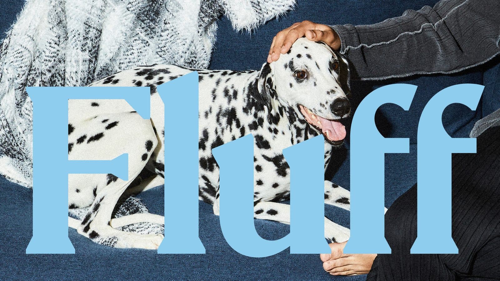 Fluff brand image